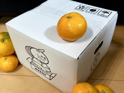 【甘み＆食べやすさ】の二刀流！西果樹園みかんの代表格！西幸みかん【早生みかん2.5キロ】🍊