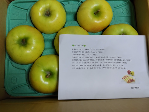青森県産りんご　希少品種　こうこう　3キロ箱使用　7個～10個
