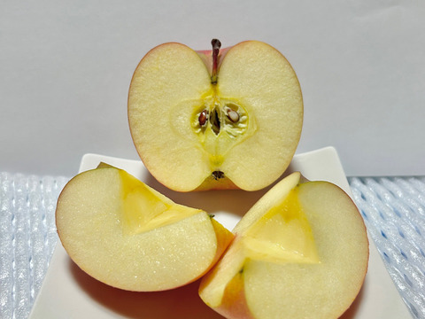 農家直送　家庭用サンふじりんご３kg（８～１２玉）