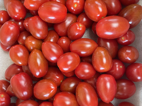 『フラガール』栃木県産　約1.9kg（大きさ不揃い）