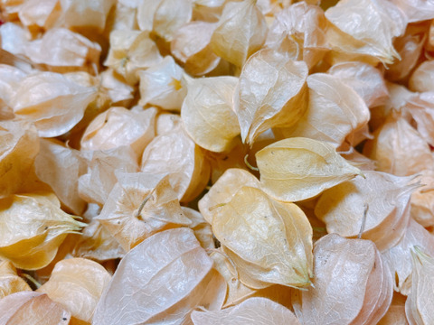 【完全通年農薬不使用】食用ほおずき　マンゴーのような甘味と、上品な香り！　約200g