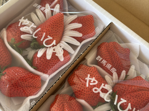 ⭐️奇跡のやよいひめ⭐️大玉『群馬いちご』320g×4トレー（2箱）