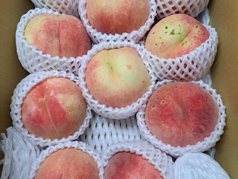【数量限定】川中島白桃　家庭用3kg