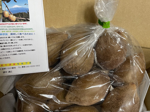 ゴールドキウイふる～つ　規格外2Ｓサイズ２Ｋ箱【品種・東京ゴールド】）