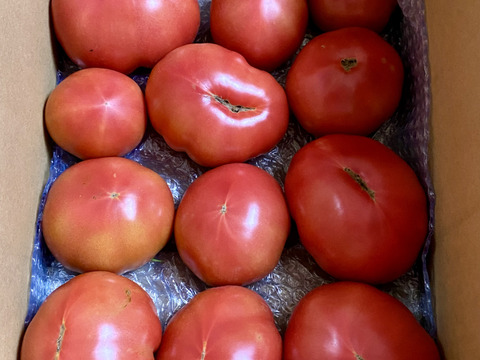 トマト箱いっぱい詰め(約5kg)