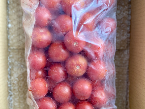 【冷凍】完熟ピークを瞬間ロック！真っ赤な完熟冷凍トマト🍅1kg
