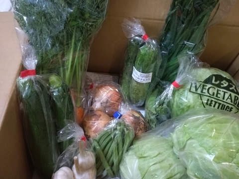 信州春野菜セット【10品目】