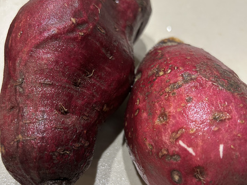 サツマイモ2Kg。皮のキズなど訳アリ品‼️
食べらたホクホク❣️ネットリ甘い品種も❣️除草剤不使用！『シルクスウィート』『紅はるか』『紅あずま』大きさ色々食べ比べ