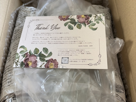 【緑の宝石】【極太500g】那須塩原産アスパラ｜じゅわっと感じる奥深い甘み！｜2Lサイズ｜【父の日ギフト】にも✨