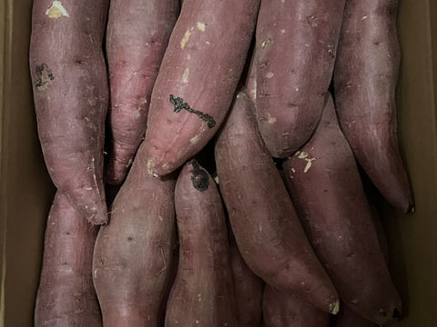 ねっとり甘い！熟成紅はるか　Mサイズ　5kg さつまいも