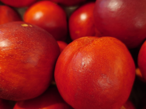 ネクタリン　訳あり4キロバラ詰め