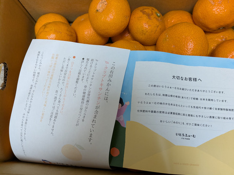 【訳あり】濃厚なコクと酸味がおいしい！有田みかん★自家製堆肥栽培★定番5kg★和歌山★