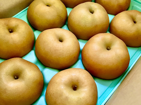【農業一筋57年！】信州産の美味しい梨　南水5kg