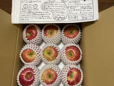 甘くて美味い！シナノスイート　長野県産　ご家庭用　約3kg(7個〜12個)