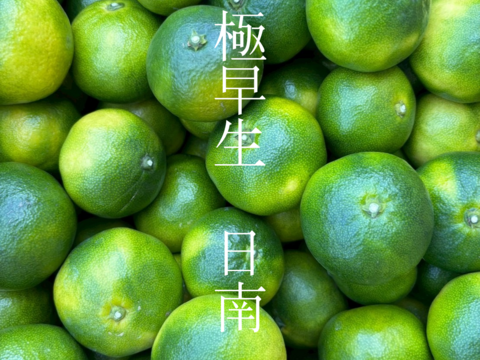 【大崎上島産】【5kg】極早生みかん　日南