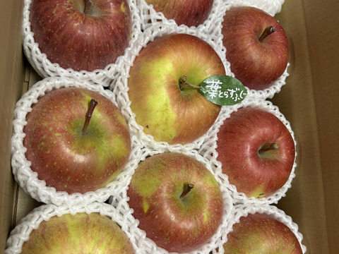 先行予約】🍎《家庭用》青森完熟葉とらずふじ8〜15玉(約3kg
