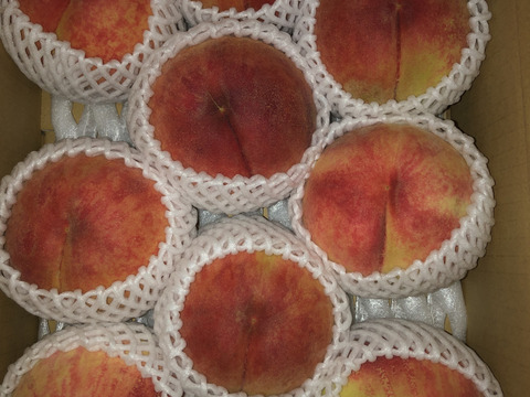【夏ギフト、あかつき３ｋｇ】高原のあかつき桃は一味違う！ 硬くて大玉、食べ応え十分！