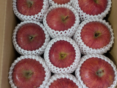 特別栽培サンふじ(8〜12玉)