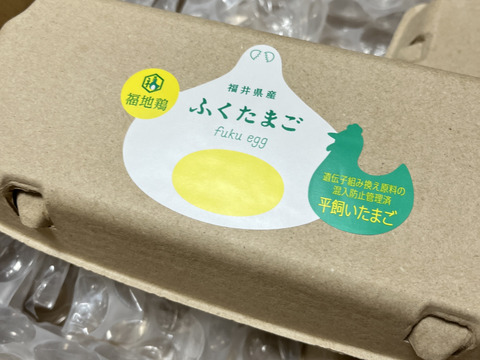 【幻の福地鶏】黄身が大きい！ふくたまご(２０個)
