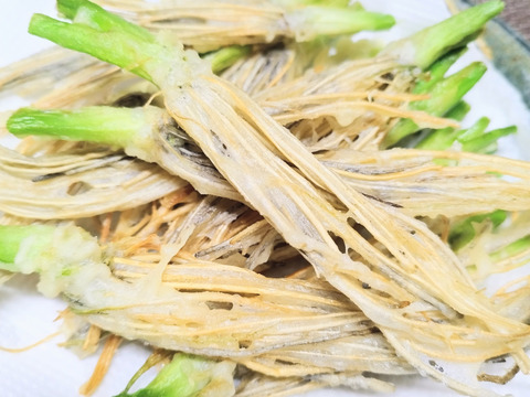 清流の恵み 蔵王セリ500ｇ 宮城県産セリ