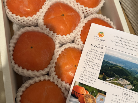 黒ゴマ果肉の紀の川柿【小箱・秀品】和歌山、天空の村