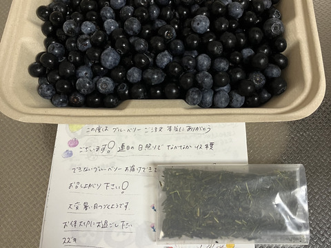 【その日採れたて】農薬不使用で栽培したブルーベリー 生食用440g