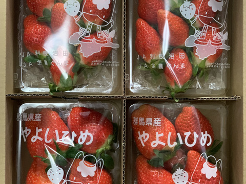 【朝摘み】じゅわっと甘い(^^)群馬のいちご【やよいひめ】サイズおまかせ4パック 収穫当日の新鮮ないちごをその日のうちに発送!じっくり時間をかけて熟した美味しいいちごです!