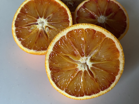 希少な国産『ブラッドオレンジ』タロッコ（ご家庭用・2kg）