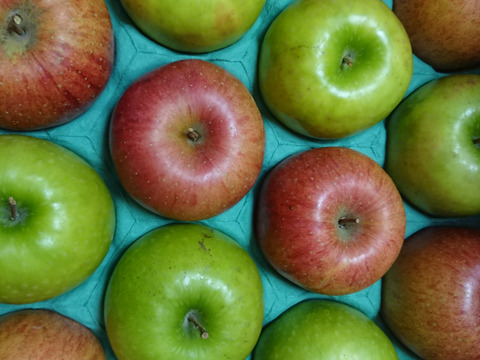 レッド＆グリーンのビビッドカラー
サンふじ＆グラニースミス（約５㎏）を食べくらべ
信州長野産のりんごをお届け　２種の味をお楽しみください