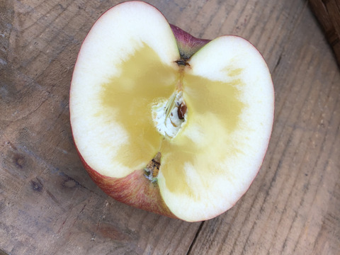 【予約販売】完熟　サンふじ＆シナノゴールドの詰め合わせセット 約5kg(13～20個)