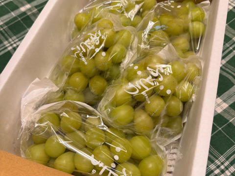 家庭用、訳ありシャインマスカット2㎏（4~5房）