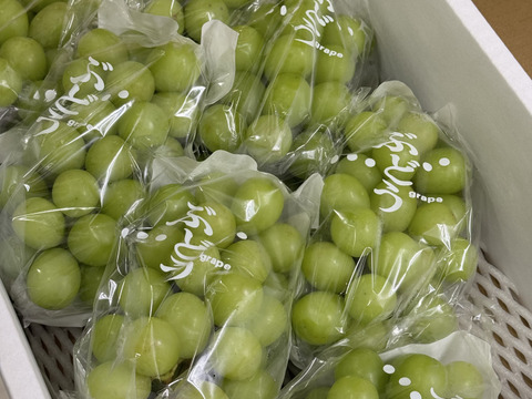 家庭用、訳ありシャインマスカット3㎏（6～7房）