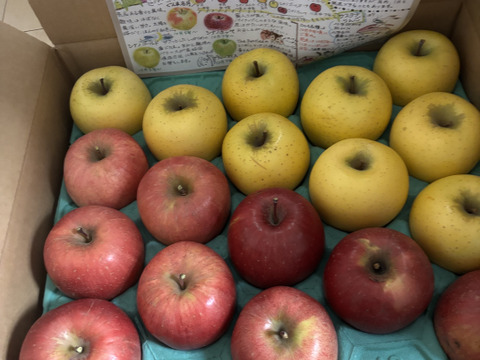 サステナりんご★サンふじ＆シナノゴールド２品種詰め合わせ（家庭用5kg☆12〜18玉入り）化学合成農薬約60％削減栽培★