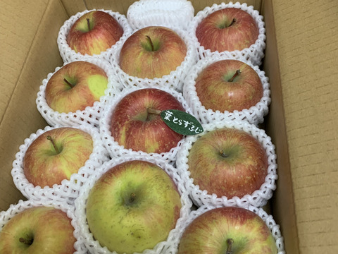 ★★新春セール★★【冬ギフト】 🍎レビュー数1900件突破！！《家庭用》青森完熟葉とらずふじ８〜１２玉(約３kg)🍎ID119812 りんご 訳あり