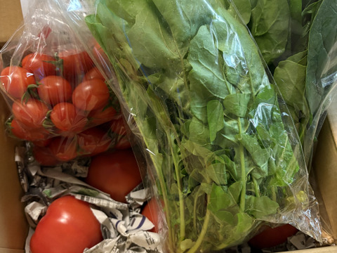 【アワード福袋】栄ちゃんファームの福袋。
人気の栄ちゃんトマトとプチトマト（アイコ）が入った
トマト尽くしのセットに季節の葉物野菜のおまけ付き！