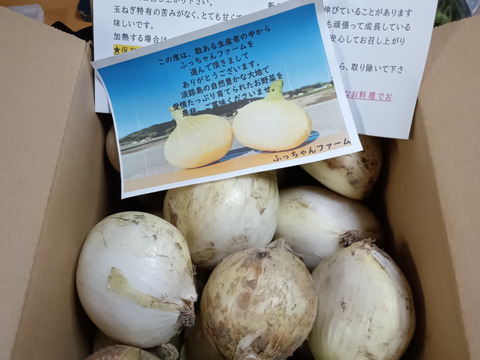 《お買い得》【淡路島産】家庭用の甘くて美味しい極早生新玉ねぎ 3kg