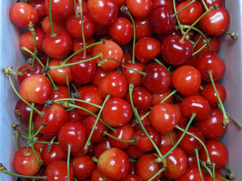 さくらんぼバラ詰め800ｇ