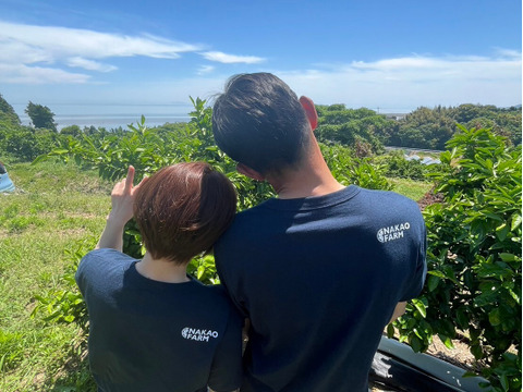 採れたまんま便【ゆらみかん2S～L混合】箱込8キロ