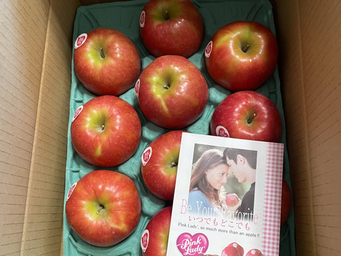 発送中🍎 ピンクレディー®︎3キロ箱  長野県 信州 安曇野 リンゴ 幻 幻のリンゴ 予約 希少 旬 6玉〜16玉サイズ 商品ID42100 ピンクレディー
