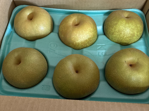 梨 幸水 良品3kg‼️長野県産：長野県産の幸水｜食べチョク｜産地直送