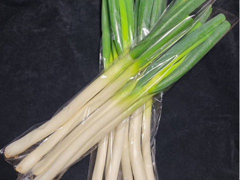 訳あり野菜セット5品　　白ネギ、大根、人参、ほうれん草などなど(農家気まぐれの福袋)