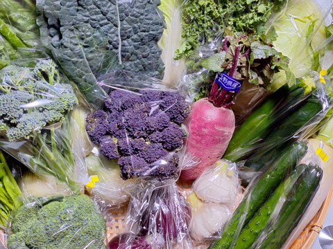 違いがわかる主婦の【春野菜Lセット】箱一杯に詰めます！