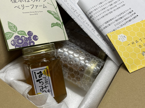 【お得】国産純粋非加熱生はちみつ ３本入り