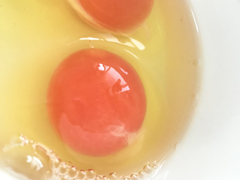 ちょっとだけ小さめの酵母・平飼いたまご50個（元気たまご）