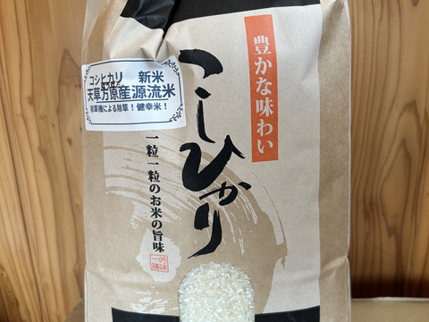 新米令和8年産　早場米で甘くてもちもち！九州天草方原産清流米(コシヒカリ5キロ)