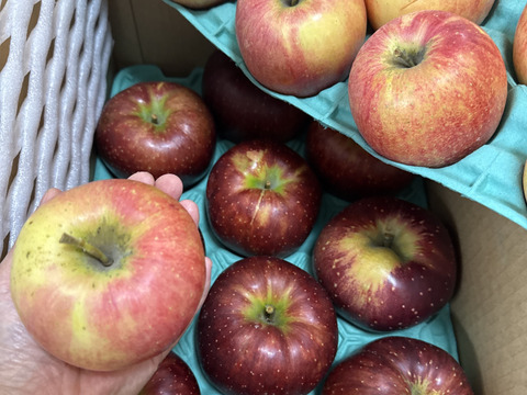 プライスダウン！！信州りんご🍎C品8キロ