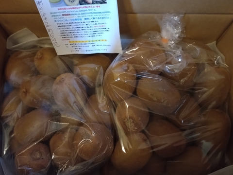 ビタミンたっぷりキウイふる～つ　家庭用 ２Ｓサイズ４キロ【品種ヘイワード】