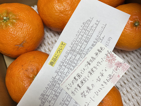 【訳あり】愛媛県産　高級希少品種　甘平　サイズ不揃い　３キロ　家庭用