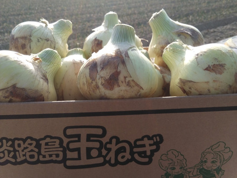 【訳あり】淡路島新玉ねぎ3ｋｇ