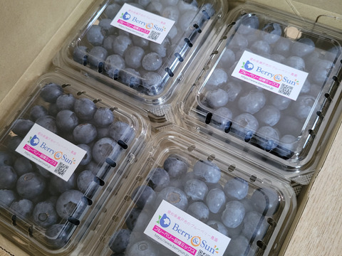 ベリーさん”の完熟ブルーベリー品種ミックス 500g（125g×4パック